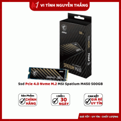 Ssd Pcie 4.0 Nvme M.2 MSI Spatium M450 500GB 