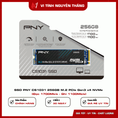 SSD PNY CS1031 256GB M.2 PCIe Gen3 x4 NVMe (Đọc 1700Mb/s - Ghi 1100Mb/s)