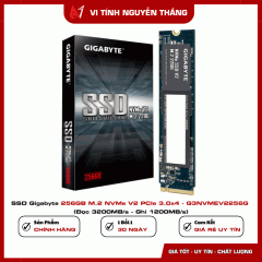 SSD Gigabyte 256GB M.2 NVMe V2 PCIe 3.0x4 - G3NVMEV2256G (Đọc 3200MB/s - Ghi 1200MB/s)