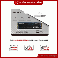 Ssd Pny Cs1031 500GB M.2 Nvme Pcie Gen3X4