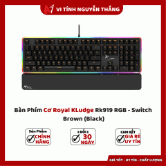  Bàn Phím Cơ Royal KLudge Rk919 RGB - Switch Brown (Black)