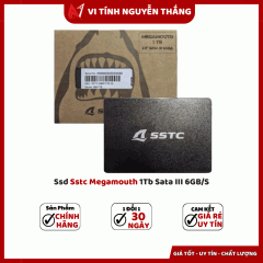  Ssd Sstc Megamouth 1Tb Sata III 6GB/S