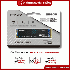 Ổ Cứng Ssd M2 Pny Cs1031 256GB Nvme Gen 3X4