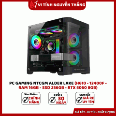 PC GAMING NTCGM ALDER LAKE (H610 - 12400F - RAM 16GB - SSD 256GB - RTX 5060 8GB)