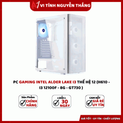 PC NTCVP3 ALDER LAKE (H610 - I3 12100F - 8G - GT730 )