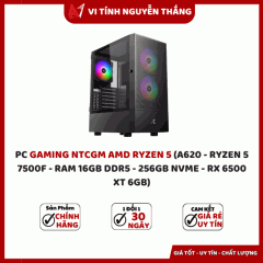 PC GAMING NTCGM AMD RYZEN 5 (A620 - RYZEN 5 7500F - RAM 16GB DDR5 - 256GB NVME - RX 6500 XT 4GB)