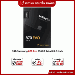  SSD Samsung 870 Evo 250GB Sata III 2.5 Inch