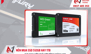 Nên mua SSD 512GB hay 1TB cho sinh viên? Chọn đúng ngành học 